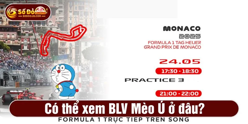 BLV Mèo Ú 90p