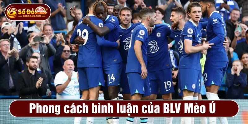 BLV Mèo Ú xoilac